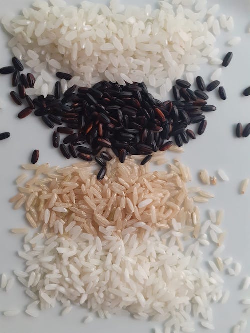 différentes variétés de riz