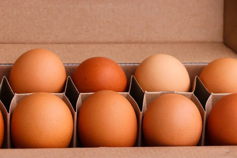 Comment conserver les œufs