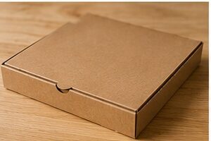 Peut-on mettre une boîte à pizza en carton au four ?